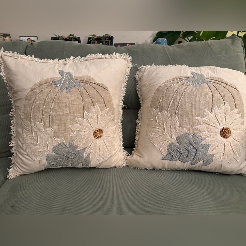 Secret Celebrity Pillows